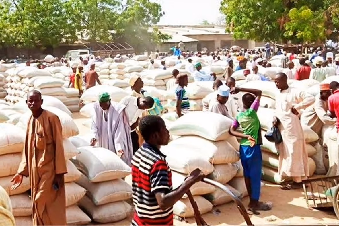 Crowd of people working and standing around large stacks of white sacks piled outdoors, surrounded by trees and buildings in Dawanau Market Kano