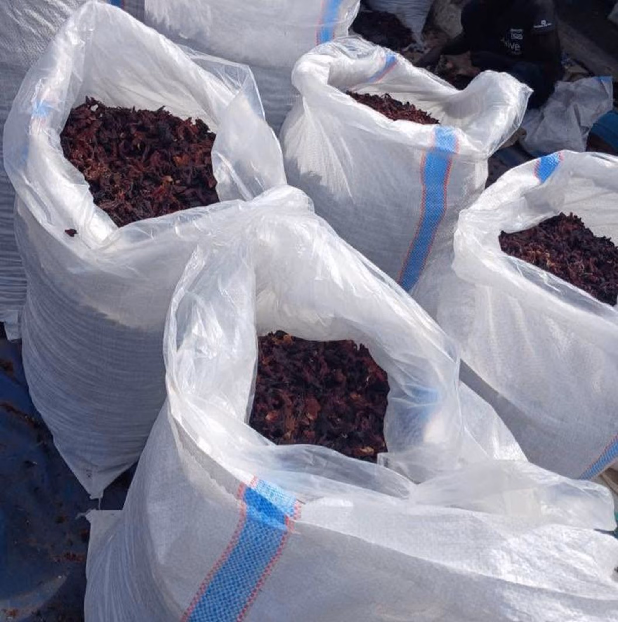 Four large white sacks filled with dried dark red hibiscus flowers, placed on the ground with a blue tarp underneath.
